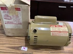 Dayton Swim Pool Pump Motor 3K102 3/4 Hp Rpm 3450 115/230V 60HZ New Open Box. Fixed Price $270.00.
