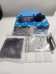 New Sick WL250-2P2431 Replace WL250-P430 Photoelectric Sensor Switch. Fixed Price $75.00.