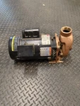 Dayton / Teel Pool Pump 9K615. Fixed Price $250.00.